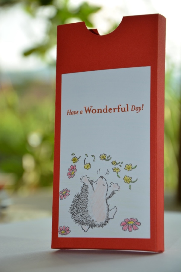 individuelle_verpackungen5